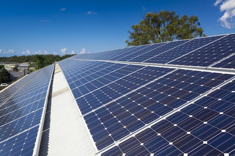 Lexington Fayette Council Approves Conditional Use For Solar Farms On County Far