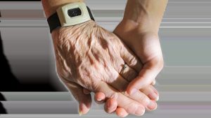 Lexington Home Instead Expands Veteran Senior Care And Caregiver Hiring