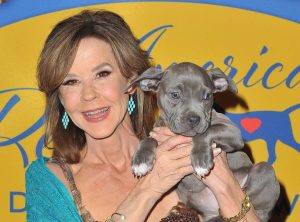 Linda Blair Cited For Housing Over 250 Dogs