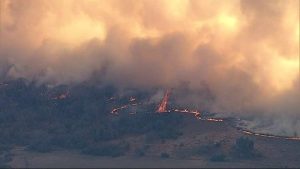 Local Contractors Deliver Hay To Ranchers As Palo Pinto Wildfire Scorches 85 000