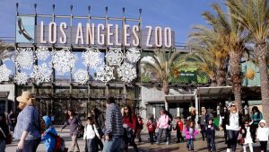 Los Angeles City Council Committee To Consider 2 Zoo Admission Hike