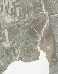 Wertheim National Wildlife Refuge — Brookhaven