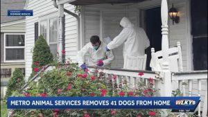 Louisville Community Rallies To Foster Over 40 Animals Rescued From Camp Taylor