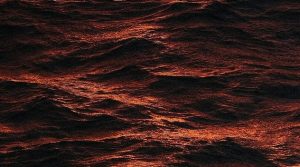 Low Red Tide Algae Levels Found Off Florida Coasts