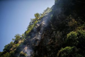 Mad Honey From Nepal Linked To Heart Rate Emergencies As Online Sales Surge