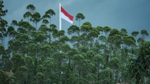 Magnitude 7 7 Quake Hits Indonesia