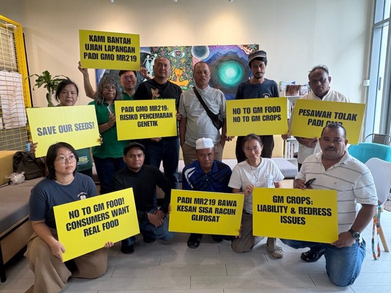 Malaysian Farmers Oppose Gmo Rice Trial