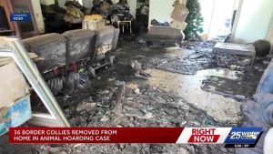 Martin County Woman Accused Of Hoarding 36 Dogs