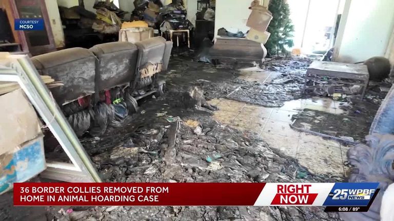 Martin County Woman Accused Of Hoarding 36 Dogs