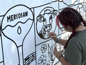 Meridian S Art Spark Festival