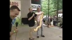 Meteorologist Kurtis Gertz S Live Tv Snake Encounter At Iowa State Fair Goes Vir