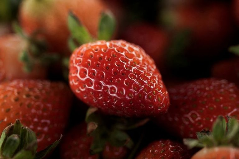 Mexico Challenges U S Antidumping Ruling On Strawberry Exports