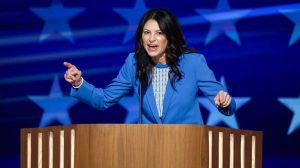 Michigan Democratic Convention Split Over Israel Stirs Safety Concerns For Ag Ne