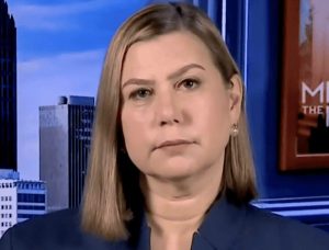 Michigan Senator Slotkin Asks Pentagon For Pledge To Keep Troops Out Of Polling
