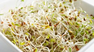 Minnesota Based Everything Sprouts Recalls Alfalfa Sprouts After 55 Illnesses Re