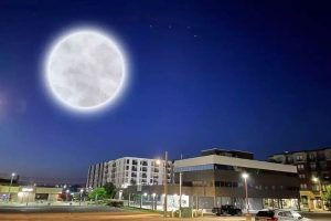 Minnesota S Sturgeon Moon