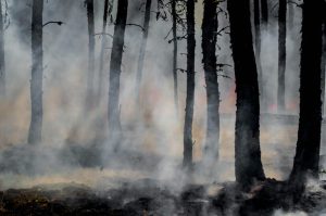 Minnesota Wildfires Update