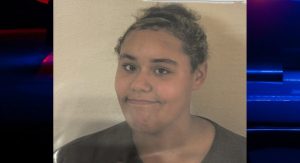 Missing 15 Year Old Sought In Land O Lakes