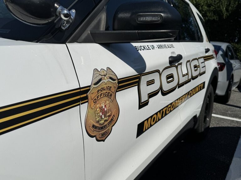 Mother Killed Son Injured In Vehicle Pedestrian Crash Near Chapman Ave And Twinb