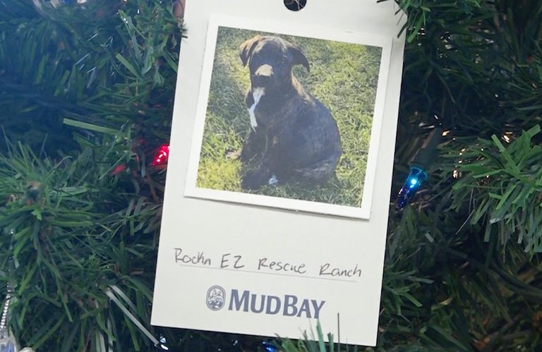 Mud Bay Donates To Pets Affected By Spokane Fires