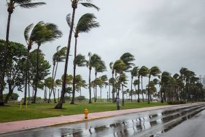 National Report Highlights U S Cities Most Vulnerable To Hurricane Damage