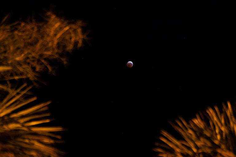 Near Total Lunar Eclipse To Light Up South Florida Skies Thursday Night