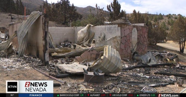 Nevada Woman Faces Total Loss After Bug Fire Devastates 33 Acre Ranch