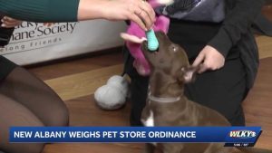 New Albany City Council Moves Forward With Pet Store Licensing Ordinance