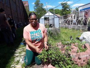 New Haven Food Policy Council Considers Community Gardens