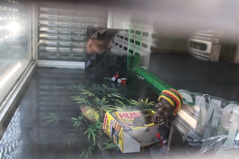 New Haven Smoke Shop Closed Permanently Owner Fined 100 000 For Illegal Cannabis