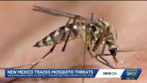 New Mexico Expands Mosquito Surveillance To Guard Communities Against West Nile