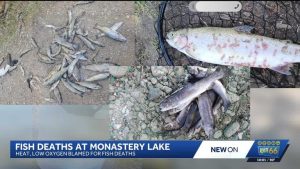 New Mexico S Monastery Lake Faces Fish Die Off