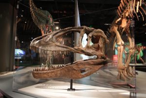 New Rides Foods And Dinosaur Exhibit Highlight 2026 Minnesota State Fair
