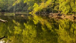 North Carolina Teen Critically Ill After Naegleria Fowleri Infection From Warm F