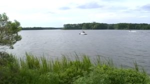North Carolina Teen Critically Ill After Rare Brain Eating Amoeba Infection