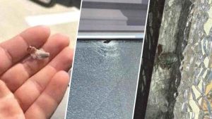 Northwest Isd Sues Gun Range Over Stray Bullets