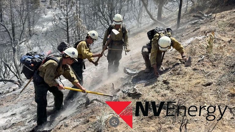 Nv Energy Foundation Pledges 100 000 To Aid Hawk Fire Recovery In Northern Nevad