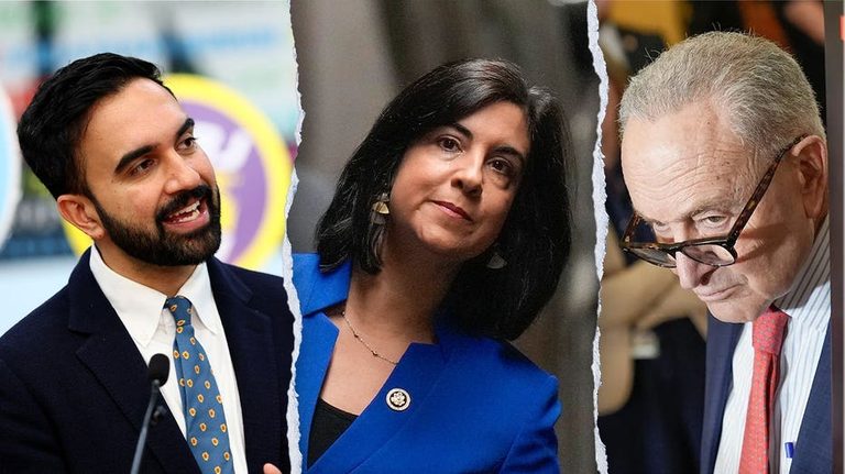 Ny Rep Slams Schumer Mamdani On Voter Id