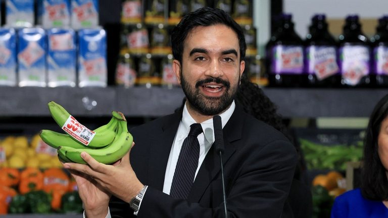 Nyc Mayor S Grocery Plan