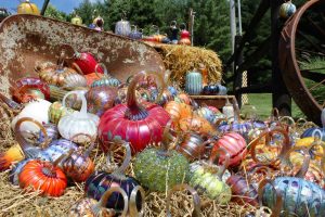 Ohio Artist Hosts Glass Pumpkin Festival