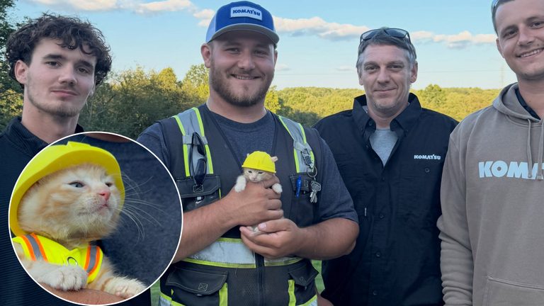 Ohio Construction Crew Adopts Rescued Kitten Names Her Shop Cat