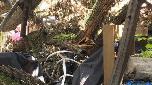 Ohio Lawmakers Push Fema To Speed Storm Damage Reviews For Cincinnati Residents
