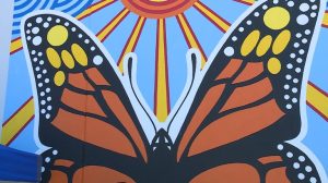 Oklahoma Monarch Society Unveils Five Year Pollinator Conservation Plan