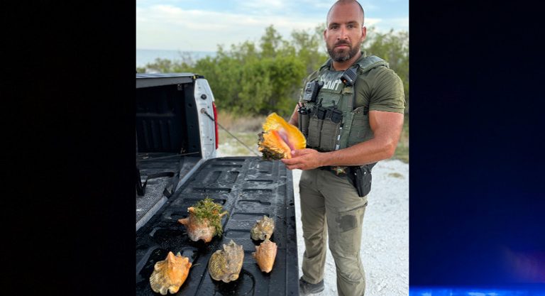 Oklahoma Resident Arrested At Sunshine Key Resort For Possessing Protected Queen