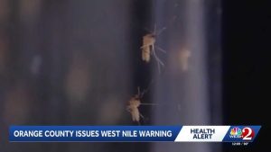 Orange County Health Dept Alerts Residents To Rising West Nile Virus Risk