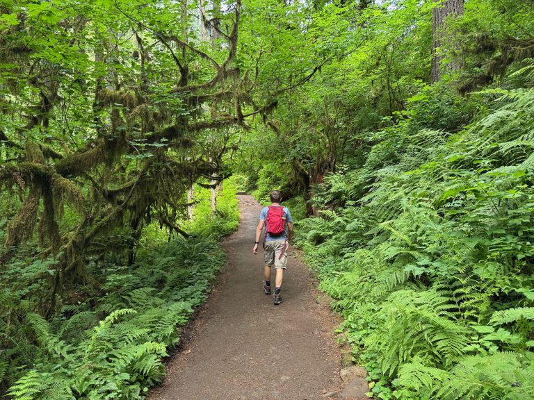 Oregon S Natural Beauty Shines On A Recent Hike Near Silverton