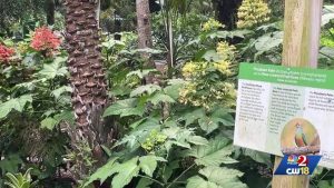 Orlando Pauses Leu Gardens Expansion Amid Amendment 3 Tax Uncertainty