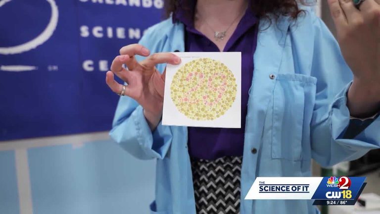 Orlando Science Center Offers Hands On Color Perception Activities For Families