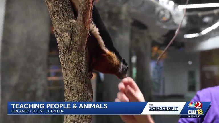 Orlando Science Center Uses Animal Training To Teach Kids About Learning