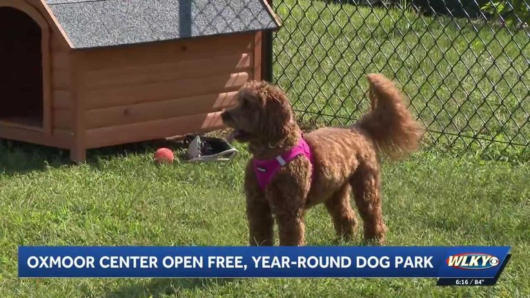 Oxmoor Center Opens Louisville S First Year Round Mall Dog Park